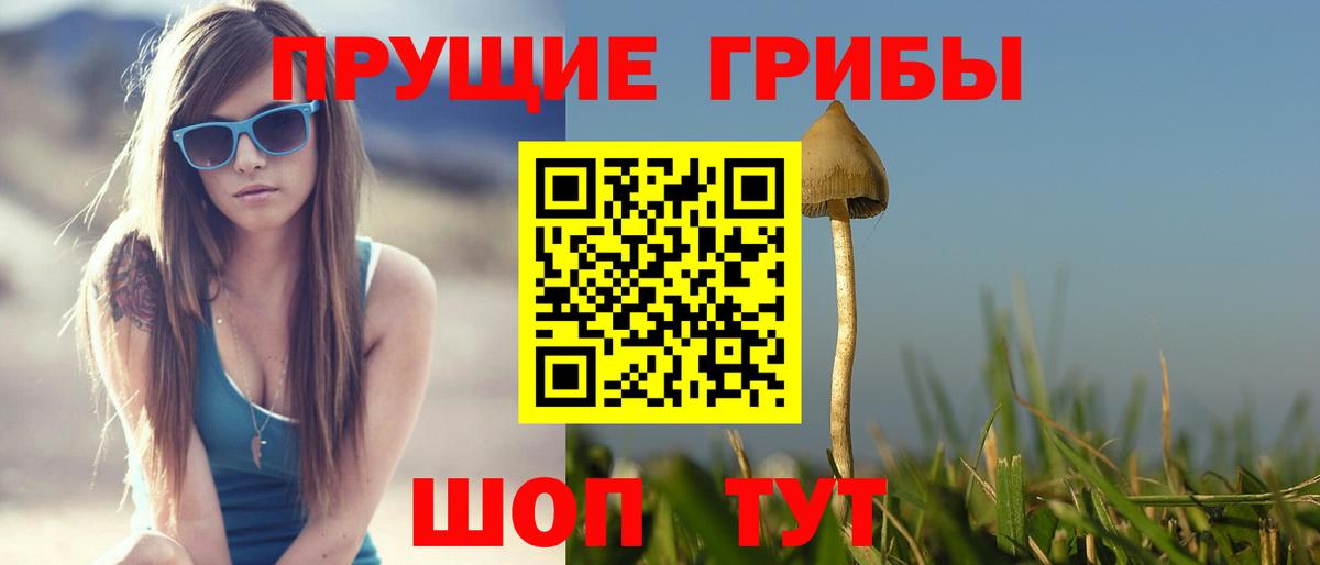сколько стоит  Вход с VPN  Алексеевка  Псилоцибиновые грибы ЛСД 